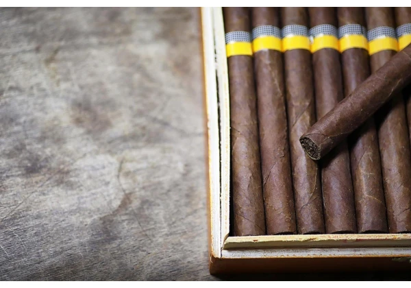 Paper For Roll-your-own Cigarettes: How To Choose